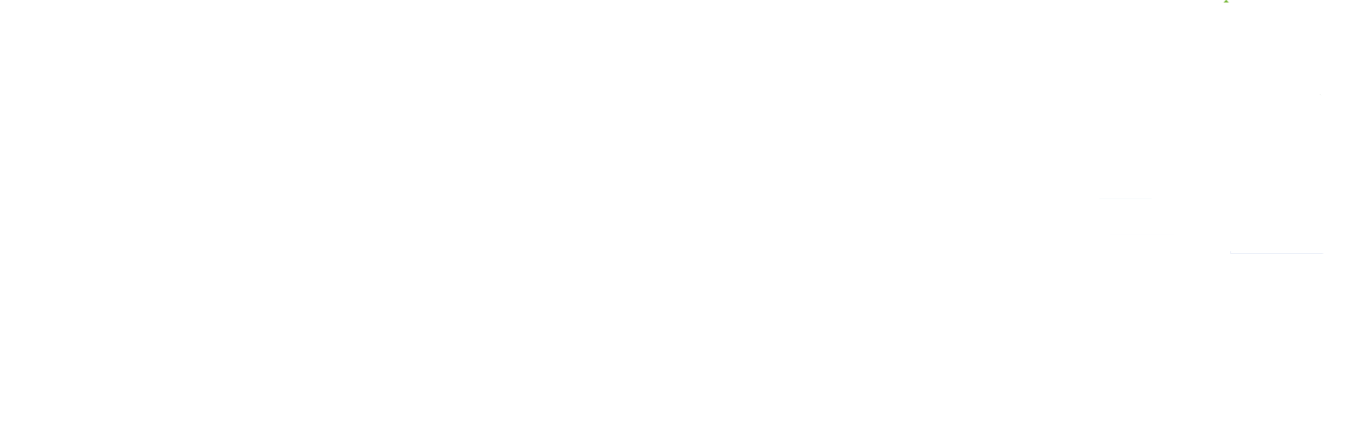 Логотип CHISTO Reinigungsfirma